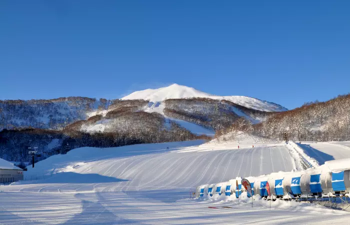 things to do in japan in March