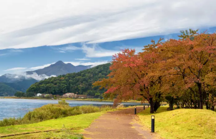 things to do in japan in fall