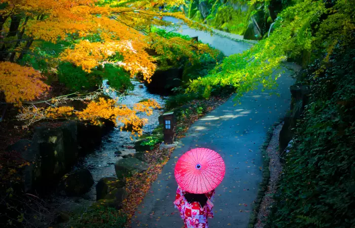 things to do in japan in November