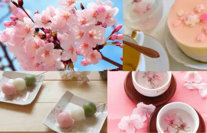 can you eat cherry blossoms