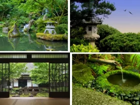 Complete Guide to Zen Gardens