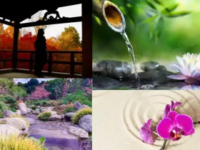 What is a Zen garden used for