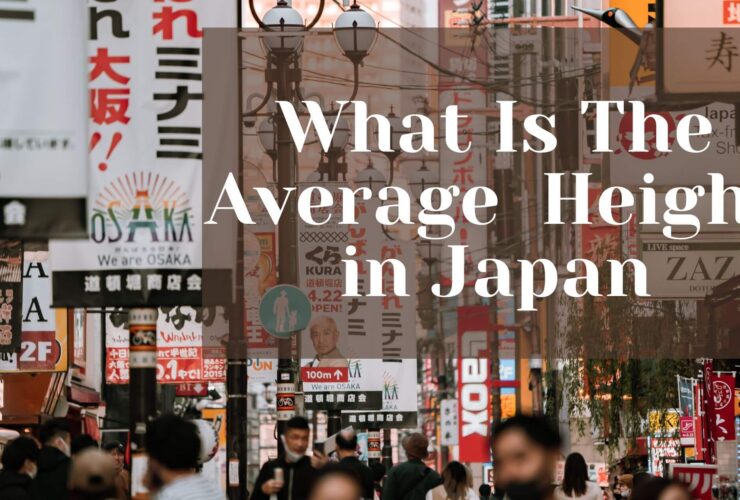 What Is The Average Height in Japan