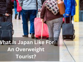 What Is Japan Like For An Overweight Tourist