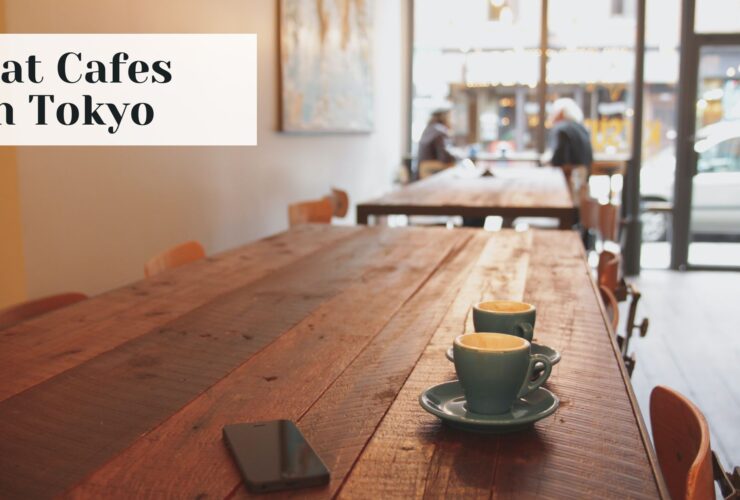 Cat Cafes In Tokyo
