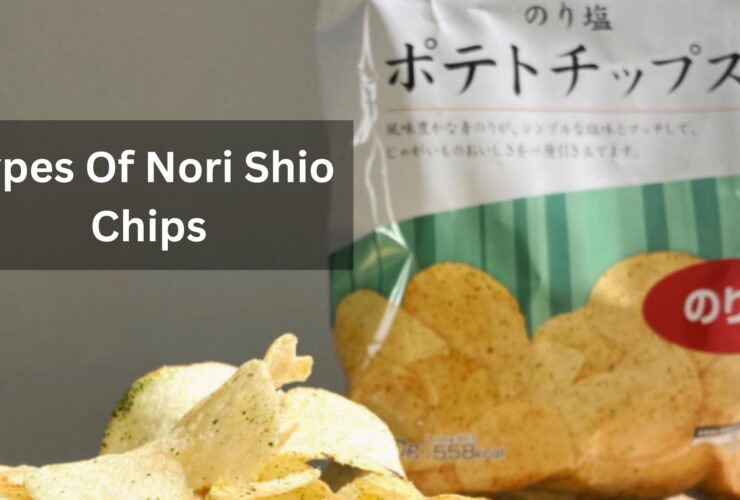Types Of Nori Shio Chips