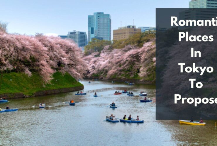 Romantic Places In Tokyo To Propose
