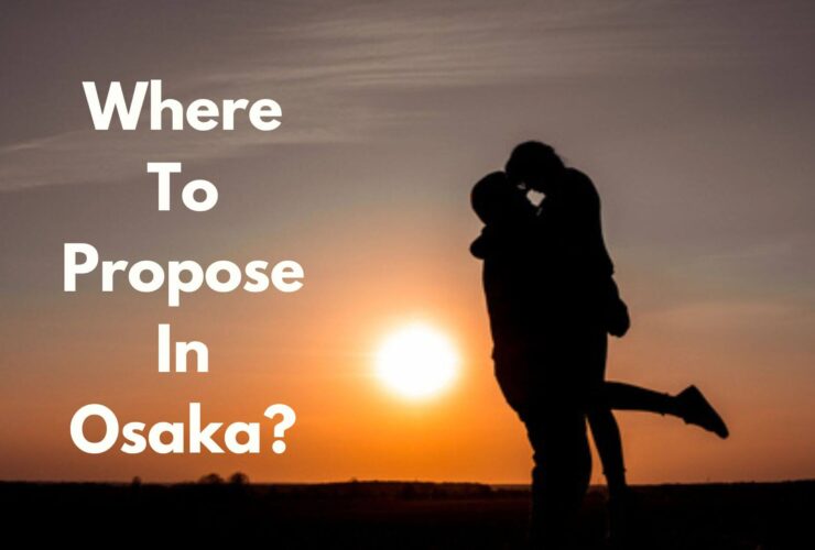 Romantic Places To Propose In Osaka