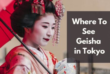 Where To See Geishas In Tokyo