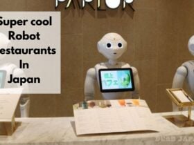 Robot Restaurants And Cafes In Japan
