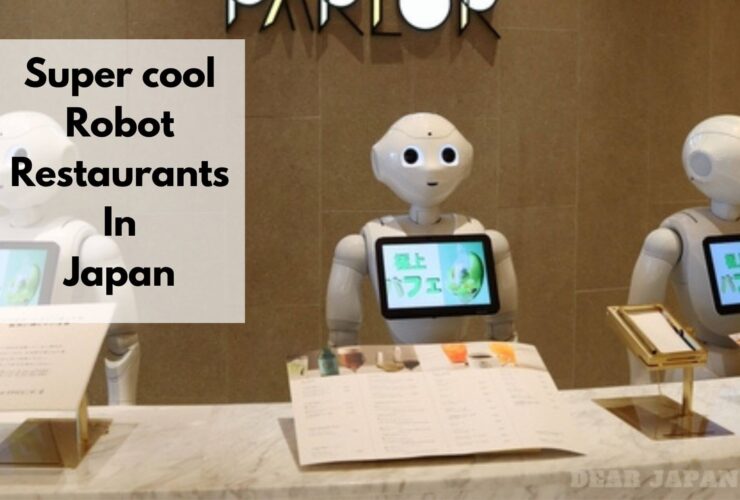 Robot Restaurants And Cafes In Japan