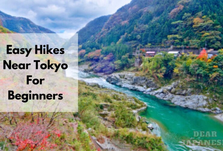 Easy Hikes Near Tokyo For Beginners