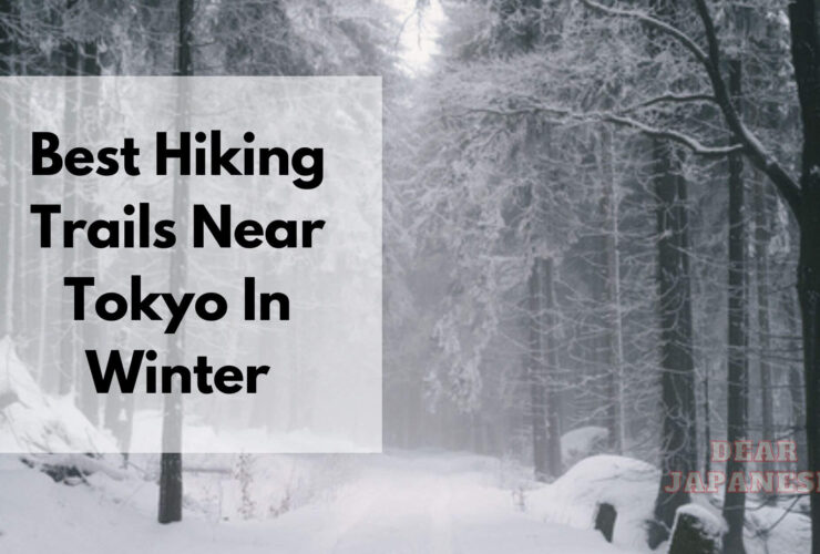 Hiking Near Tokyo In Winter