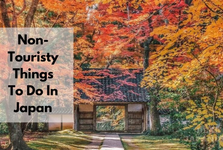 Non-Touristy Things To Do In Japan