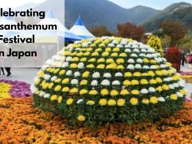 chrysanthemum festival in japan