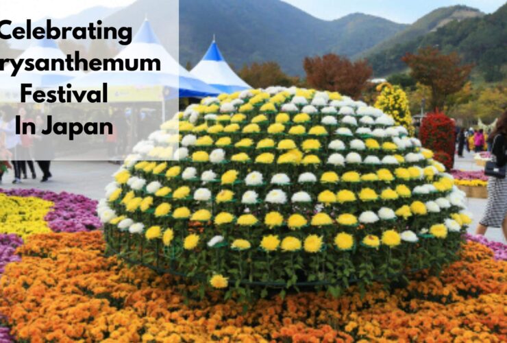 chrysanthemum festival in japan
