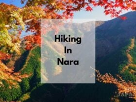hiking in nara
