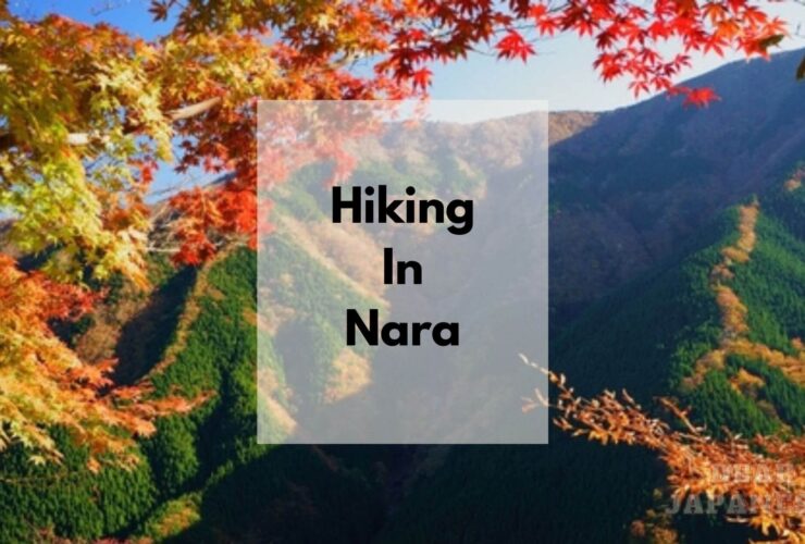 hiking in nara