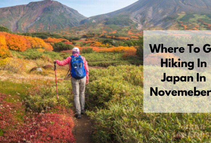 where to go hiking injapan in november