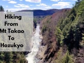 Hiking From Mt Takao To Hozukyo