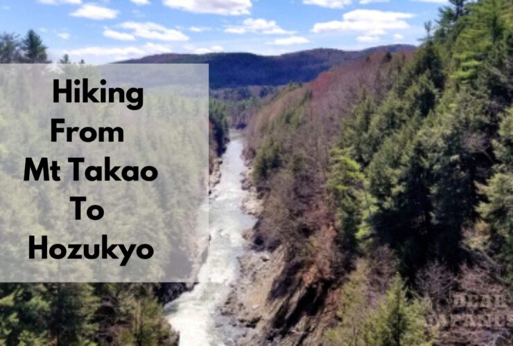 Hiking From Mt Takao To Hozukyo