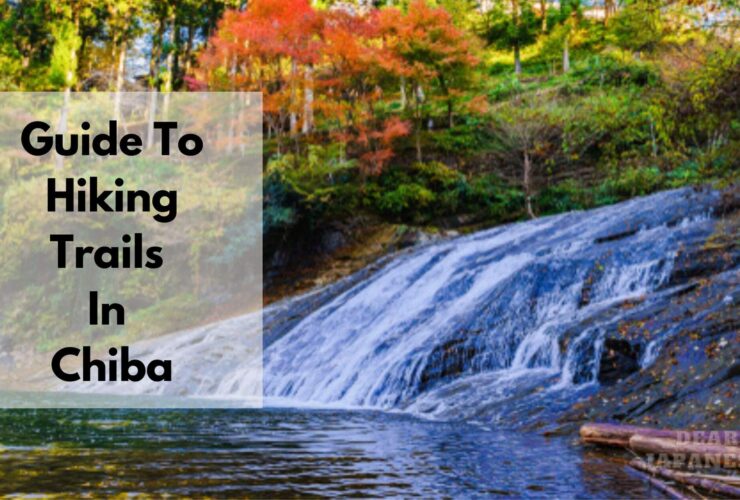 Guide To Hiking Trails In Chiba