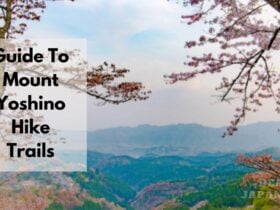 Guide To Mount Yoshino Hike Trails