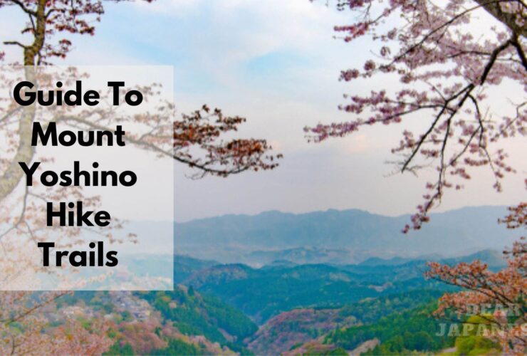 Guide To Mount Yoshino Hike Trails