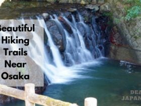 Hiking Near Osaka