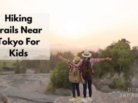 Hiking Trails Near Tokyo For Kids
