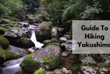 Hiking Yakushima