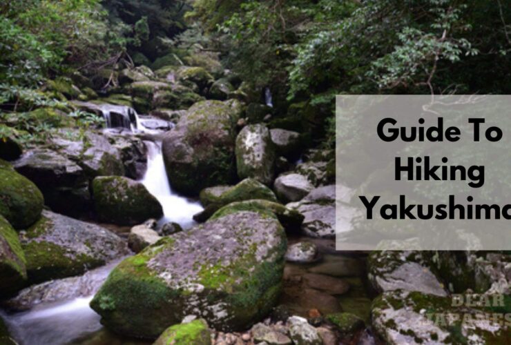 Hiking Yakushima