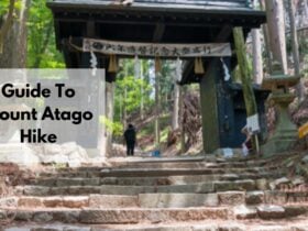Mt Atago Hike