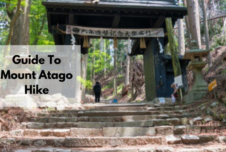 Mt Atago Hike