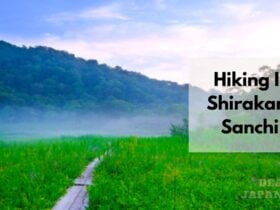 Shirakami Sanchi Hike