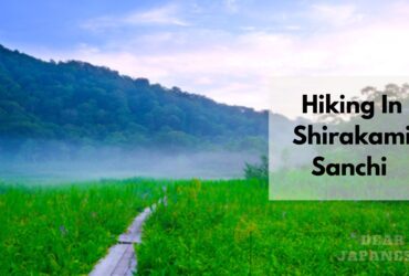 Shirakami Sanchi Hike