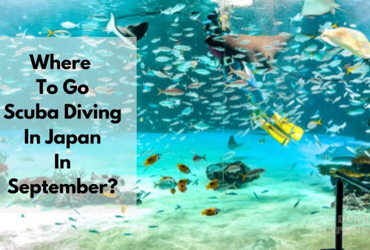 scuba diving in Japan in September