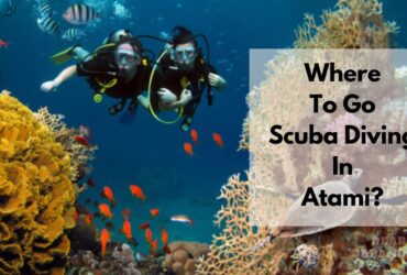 scuba diving in atami