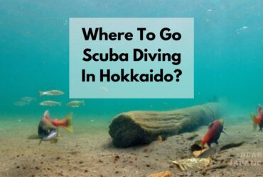 scuba diving in hokkaido