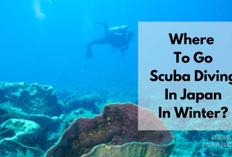scuba diving in japan in winter