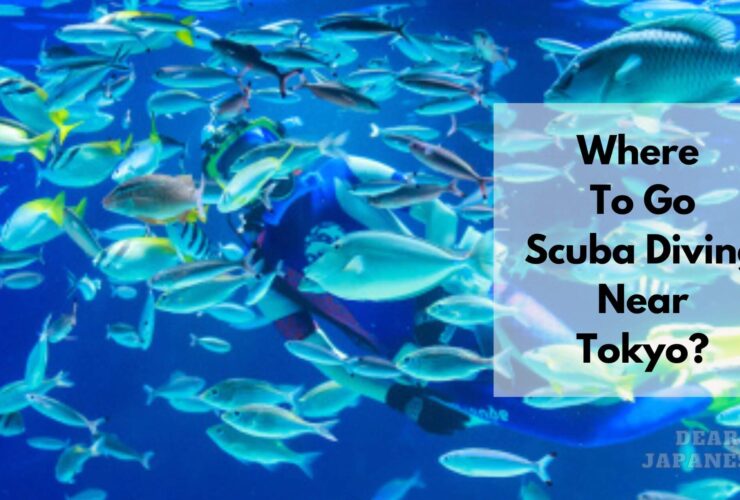 Scuba Diving Near Tokyo