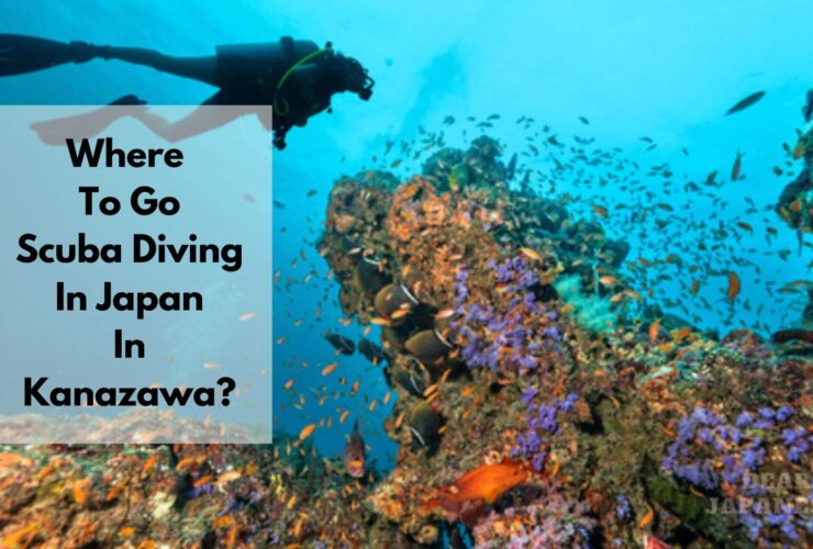 scuba diving in kanazawa