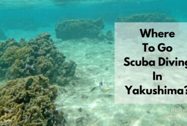 where to go scuba diving iin Yakushima