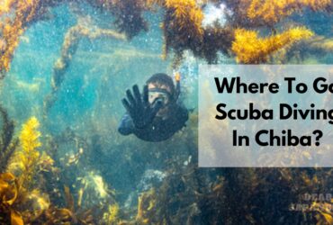 scuba diving in chiba