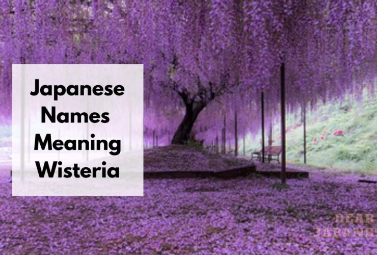 japanese names meaning wisteria