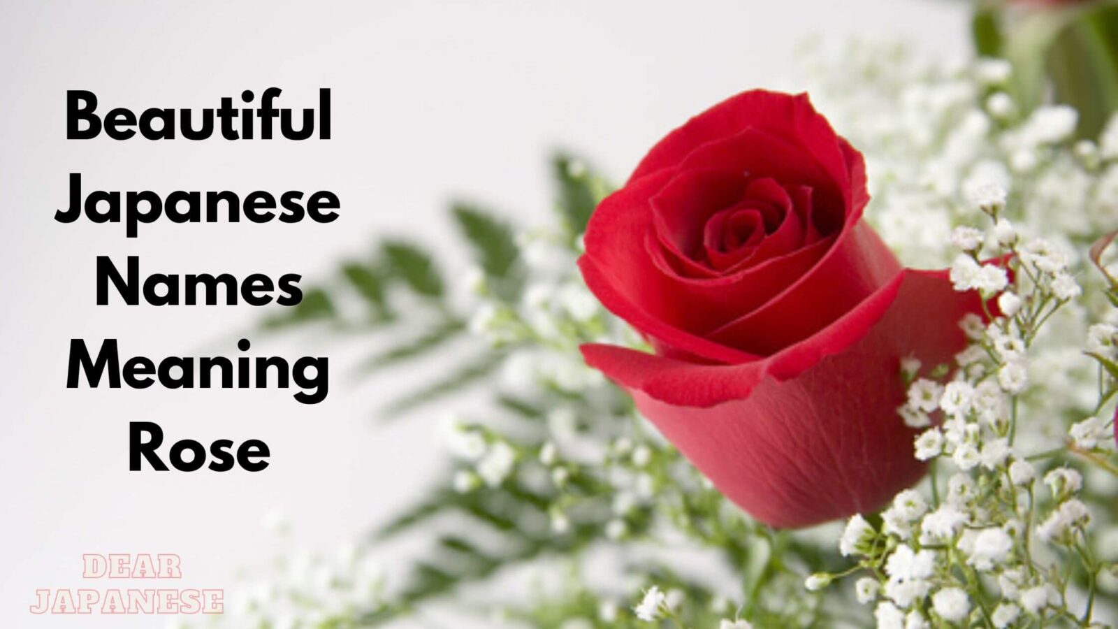 50 Japanese Names Meaning Rose Dear Japanese