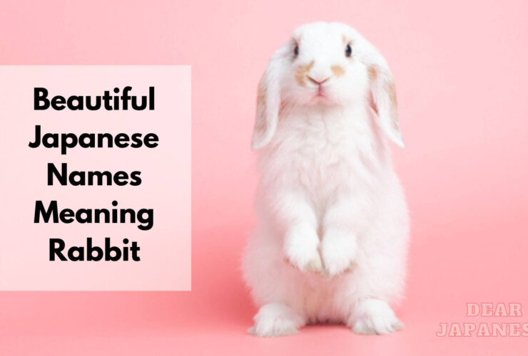 japanese names meaning rabbit