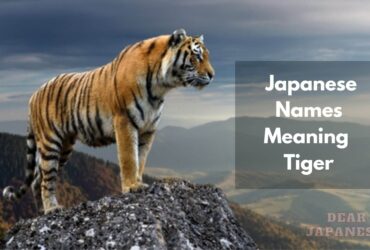 japanese names meaning tiger