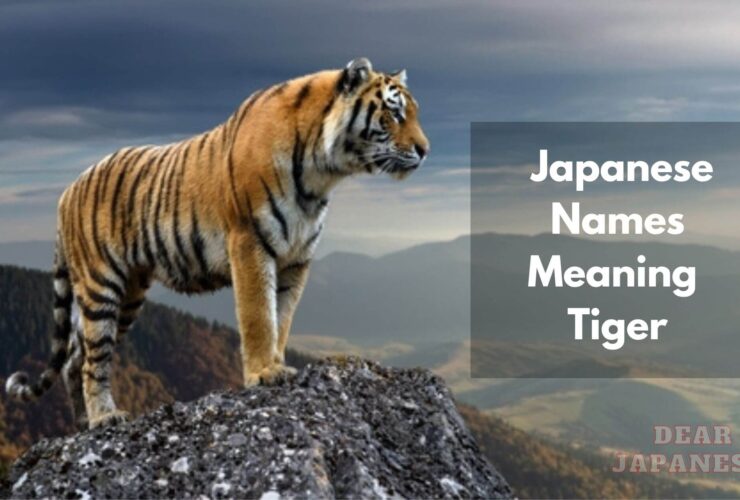 japanese names meaning tiger