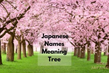 japanese names meaning tree